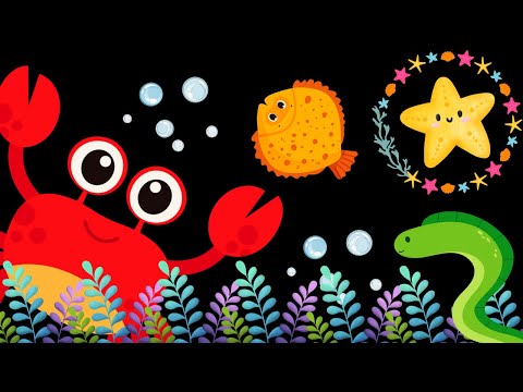 Baby Sensory Video – Under The Sea Calm Music – Sensory Videos For Babies - Tummy Time Newborn #baby