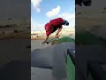 Disable Skateboarding King