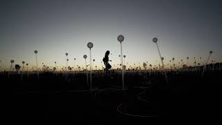 Field of Light installation at Uluru | Bruce Munro