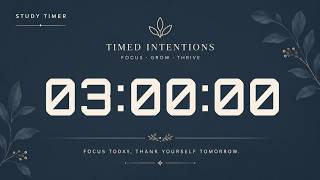 3 Hour Study Timer | Focus and Productivity Countdown (No Music)