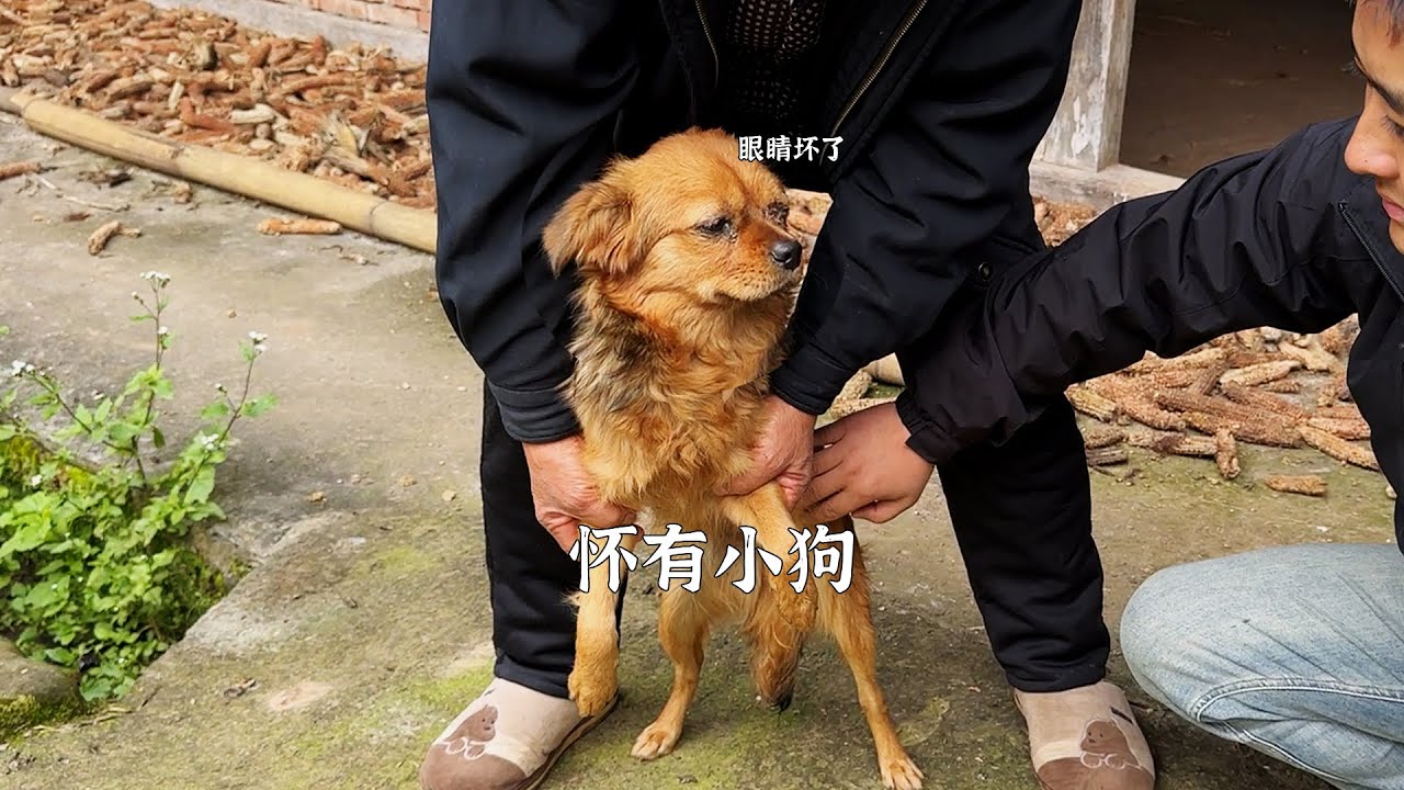 老一辈的有啥事，是不是都不爱给子女后辈说？