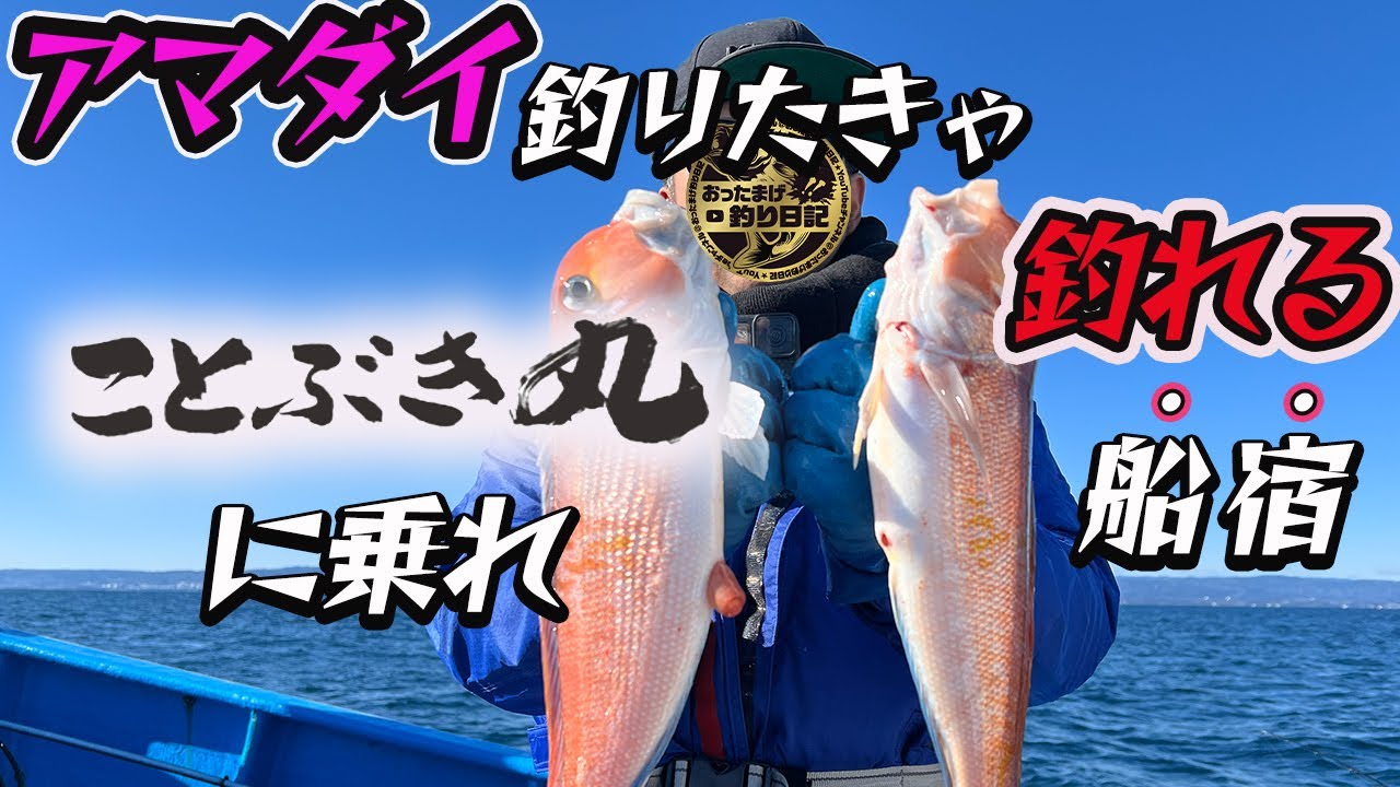 【ことぶき丸】【アマラバ】甘鯛釣りたきゃ ことぶき丸に乗れ！釣れてる船宿 ことぶき丸の紹介です。