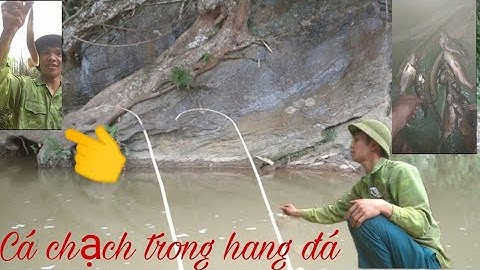Câu Cá Chạch Trong Hang Đá | Loài Cá Hiếm Gặp _Câu Cá TV _