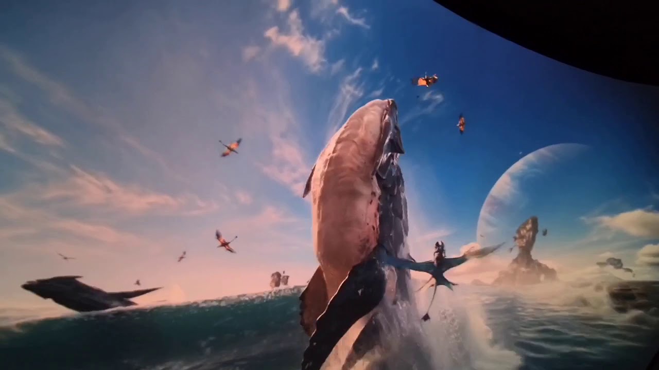 Walt Disney World, Animal Kingdom - Avatar Flight of Passage POV - YouTube