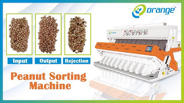 Peanut Sorting Machine Demo | Orange Sorting Machines | Input, Output & Rejection Test