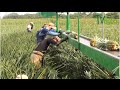 Cómo producir Piña a gran escala  (Costa Rica) - TvAgro por Juan Gonzalo Angel