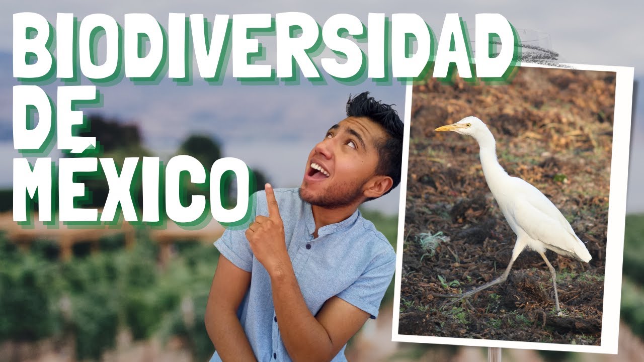 Características y factores de riesgos de la biodiversidad en México