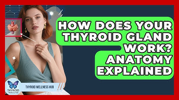 How Does Your Thyroid Gland Work? Anatomy Explained - Thyroid Wellness Hub