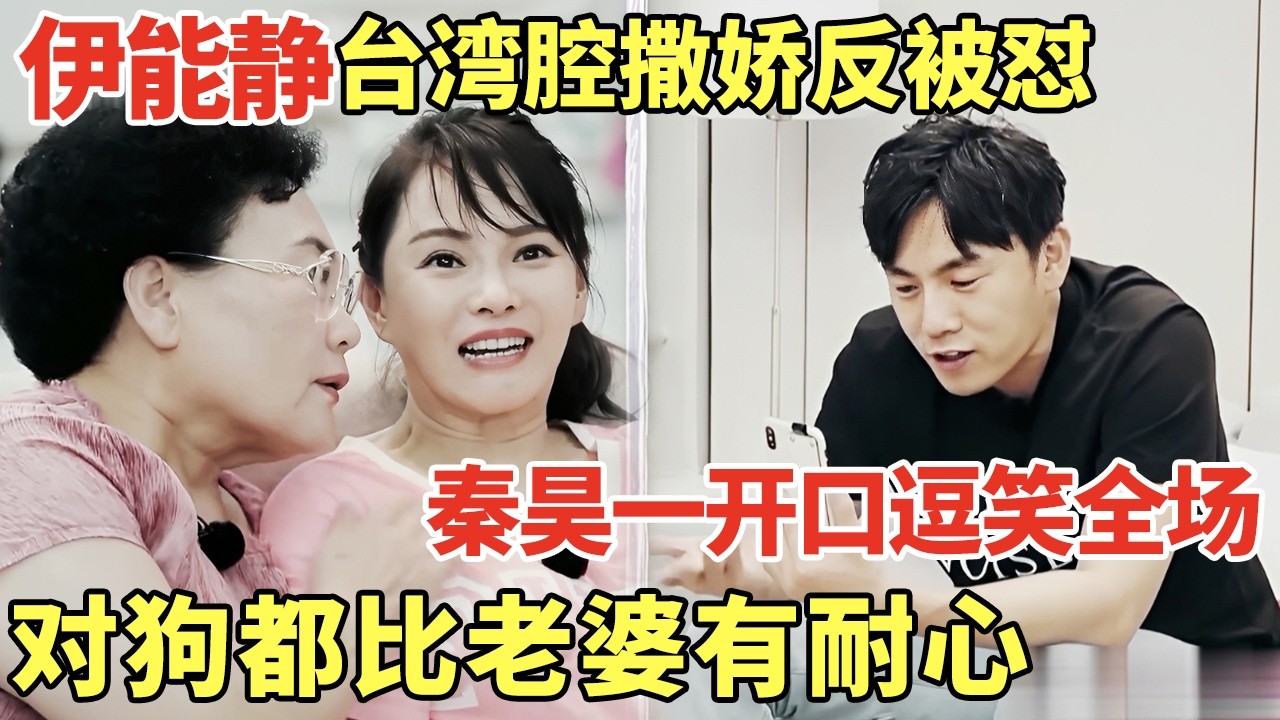 伊能静台湾腔向老公撒娇被怼, 秦昊一开口逗笑全场: 直言对狗都比老婆有耐心!｜明星夫妻