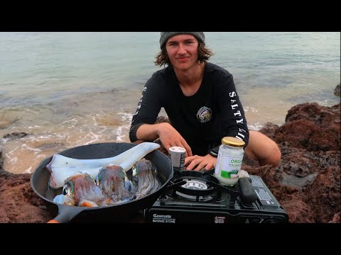 Comment attraper et cuisiner un CALMAR