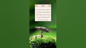 سورة النمل بصوت إلياس الحجري #القرآن_الكريم #اكسبلور