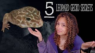 5 Things Your Leopard Gecko Wishes You Knew