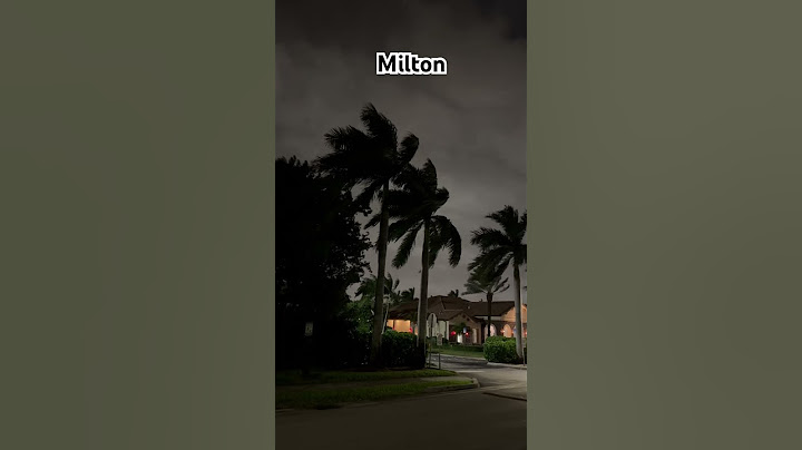 Así se está sintiendo Huracán Milton en Miami, FL #florida #milton #hurricane #huracan