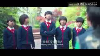 Genji Kecil Saikoci
