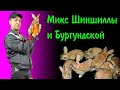 Миксы Бургундской породы и Советской Шиншиллы