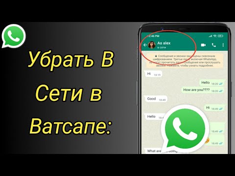 Как Убрать В Сети в Ватсапе: | Как в Ватсапе скрыть сетевой статус | скрыть В Сети в WhatsApp