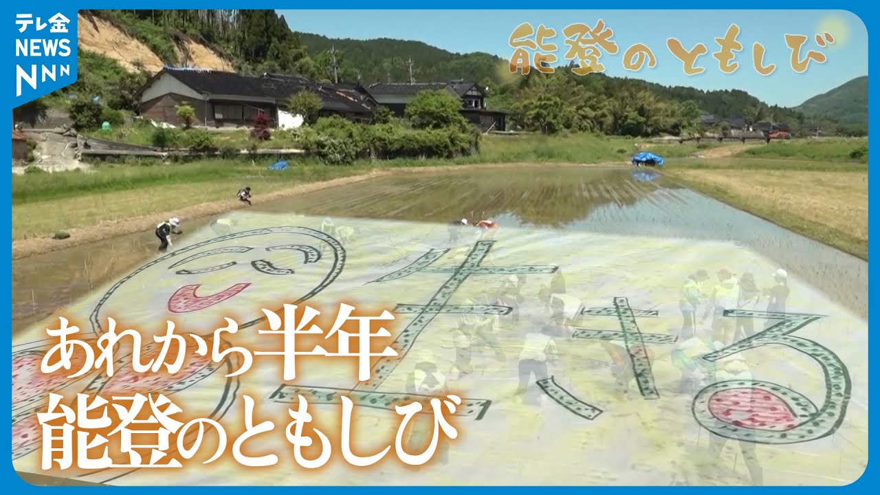 【映像日記】能登のともしび～地震から半年