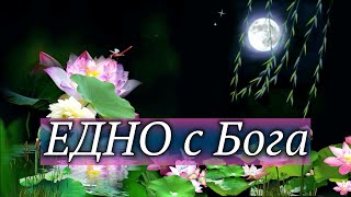 ПЕТЪР ДЪНОВ - Едно с Бога