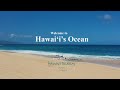 Welcome to Hawai‘i's Ocean~癒しの世界へ~