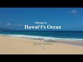 Welcome to Hawai‘i's Ocean～癒しの世界へ～