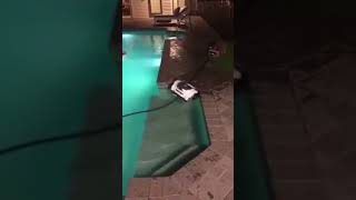 The audacity of this pool cleaner! 🦝#raccoons #poollife #caughtoncamera #animalfails   AI voice only