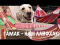 ГАМАК НАШ ЛАЙФХАК! (як ми використовуємо гамак вдома)  HAMMOCK (lifehack)