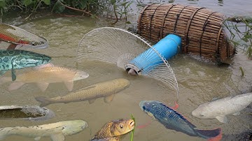 Creative Girl Make Fish Trap Using PVC - Fan Guard - Bamboo To Catch A Lot of Fish # Part 2