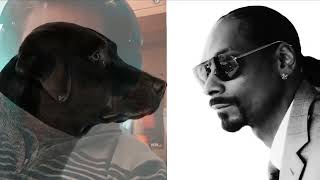 California Roll - Snoop Dog ft. Stevie Wonder, Pharrell Williams Lyrics
