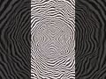 #иллюзии #оптическиеиллюзии #самооб