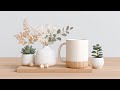Relaxing Jazz Café | Gentle Bossa Nova Instrumental Music for Concentration 🎧