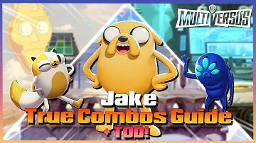 Jake TRUE Combo Guide, How To Do It! | Multiversus