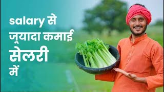 Celery Farming Course Trailer in Hindi - Guide To Earn Upto 18 Lakhs/Yr From 1 Acre | ffreedom app screenshot 5