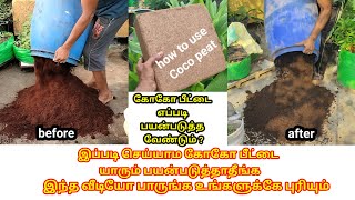 மடததடடததல கக படட எபபட பயனபடதத வணடம How To Use Coco Peat In Terrace Garde