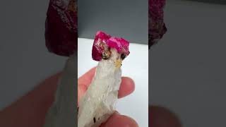 Corundum var. Ruby - Pakistan | Fine Art Minerals | Ruby |