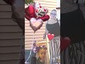 Special prosecutor pulled in to handle Irondequoit quadruple murder case