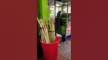 Trời cho ta làm kiếp đoạ đày🥸.. #cuộcsốngbônba #kiếpđoạđày