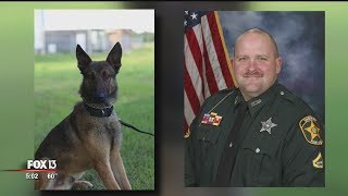 Polk County deputy forced to shoot, kill colleague's police dog after bite