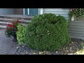 Prairie Yard & Garden: Growing Plants–It’s A Family Affair: Brian Wagner - The Landscaper