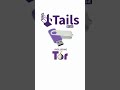 Master Digital Privacy with Tails OS & Graphene OS