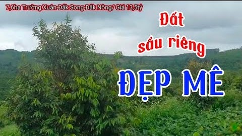 7,6ha đất đắk song-đắk nông. Đất đẹp, sầu riêng đẹp. Nhà ,điện nước đầy đủ I Tài Nguyên Đất