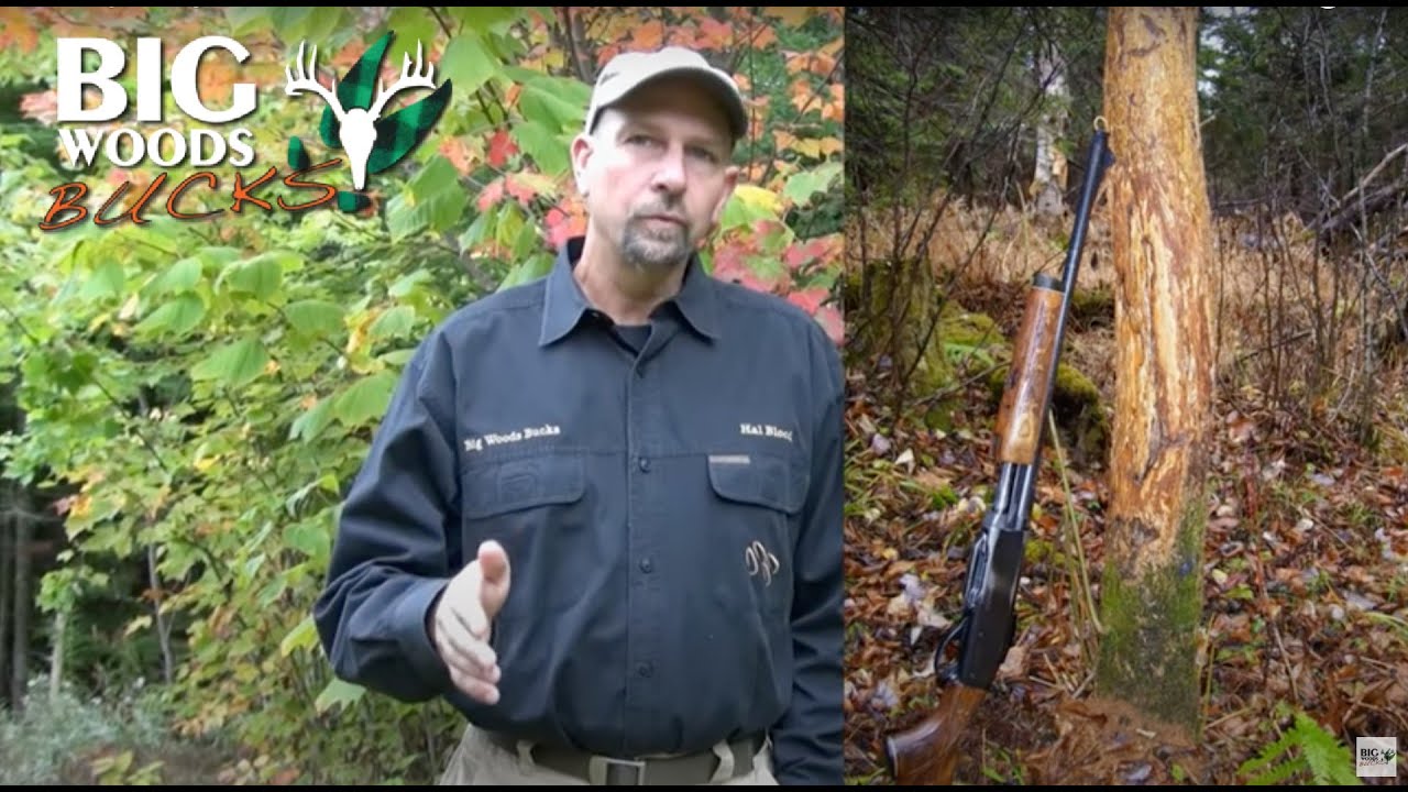 Scouting for Big Woods Bucks with Hal Blood - YouTube
