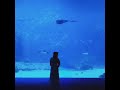 Mattyeux Princess Chelsea Sometimes Chelsea Part Only Slowed Best Part Only Slowed 