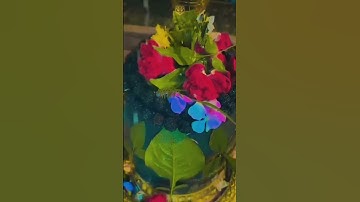 Devo Ka Dev Tu .. #song #kedarnath #shivtandav #mahadev #harharmahadev #mahakal #bholenath