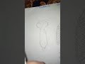 Thoracic cavity anatomy ful vedio