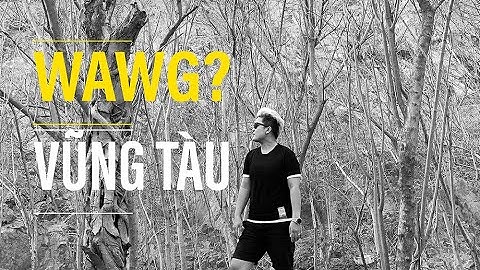 l Vlog 2 | Địa điểm chụp hình đẹp Dốc Con Rồng - Thành phố biển Vũng Tàu cùng WAWG?