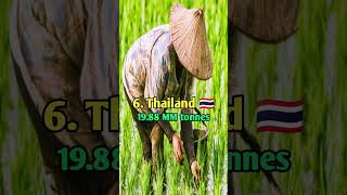 Top 10 Rice Producing Countries In The World ??shorts rice