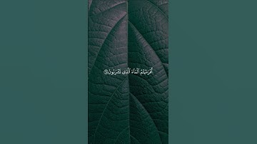 اكتب شيء تؤجر عليه | سورة الواقعة الآية 64-73 القارئ ماهر المعيقلي