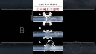 Flow Mastery Unveiled: Unraveling the Workings of Check Valves.