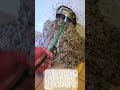 경악! 50년간 쌓인 먼지 다 빼냈더니... #worker #process #shocking #oddlysatisfying #amazing