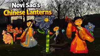 Famous Chinese Lantern Festival in Novi Sad | Beautiful Night Lights | Chinese New Year Wealth